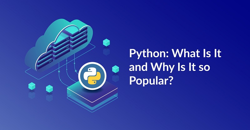 Python-What-is-it-why-popular
